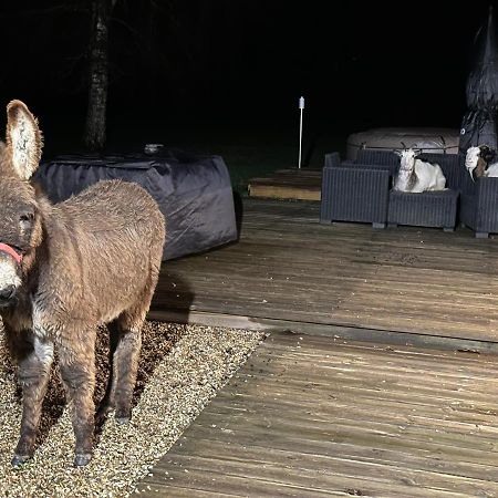 Les Gites De Claire Saint-Gâtien-des-Bois Exteriér fotografie